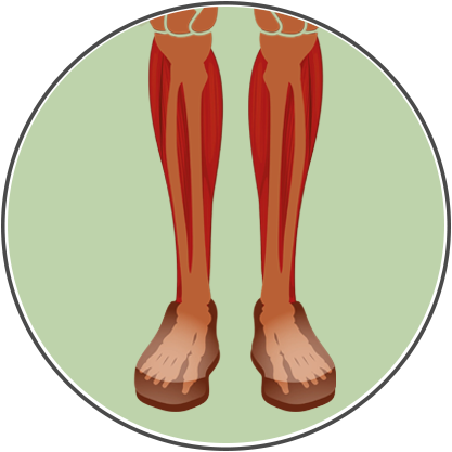 Free Orthopedic Insole